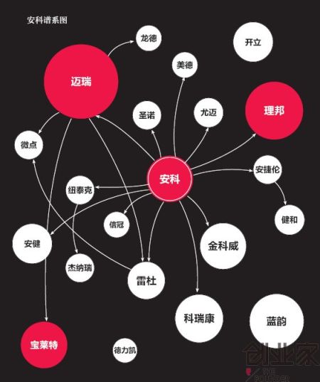 安科譜系圖